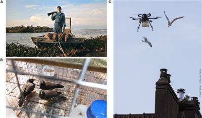 Behavioral Responses of Invasive and Nuisance Vertebrates to Harvesting: A Mechanistic Framework